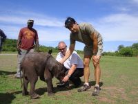 Moyo meeting his vet